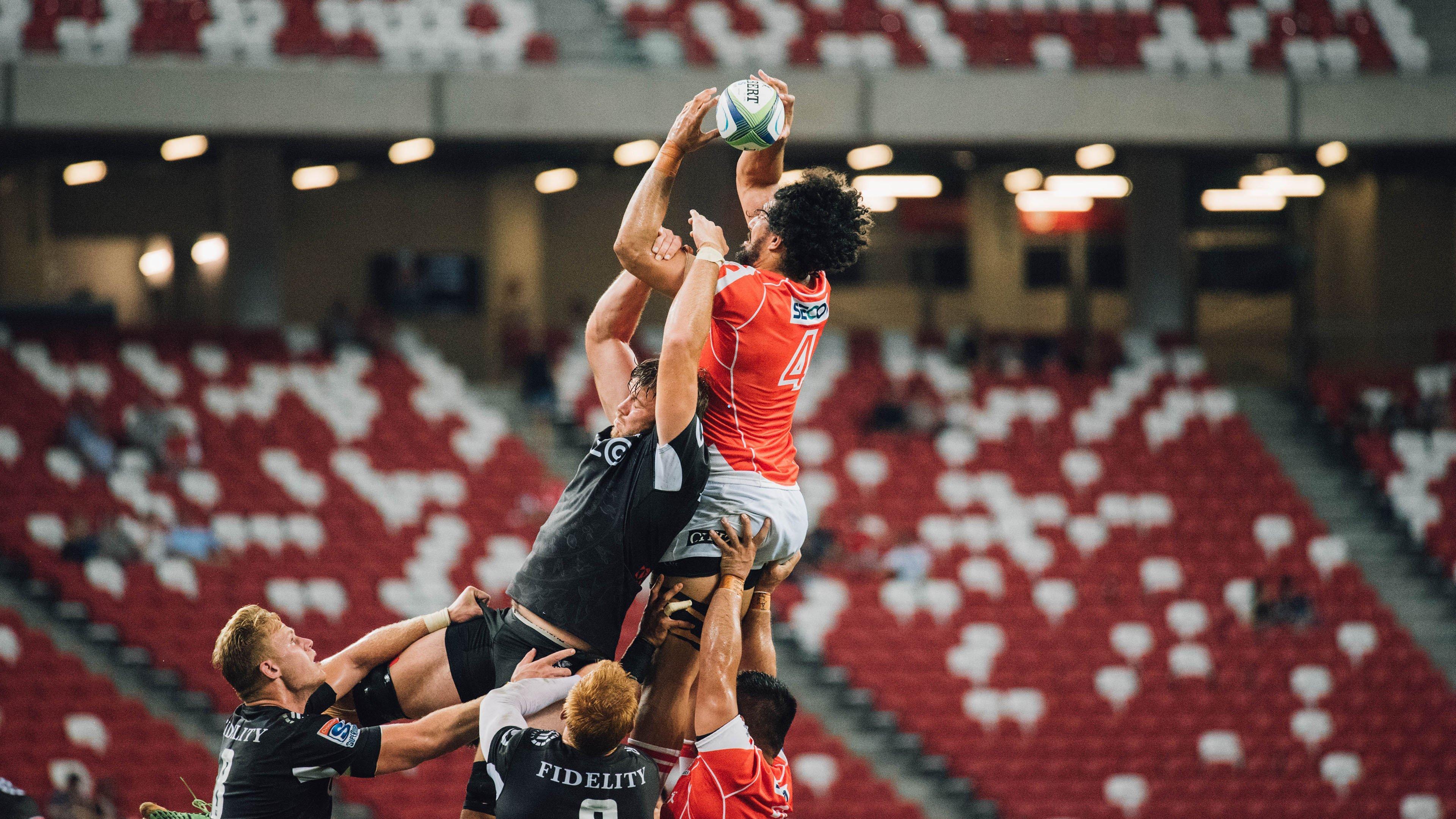 樊振东领衔萨尔布吕肯队发布新年问候 关键战役定于1月4日对决奥克森豪森